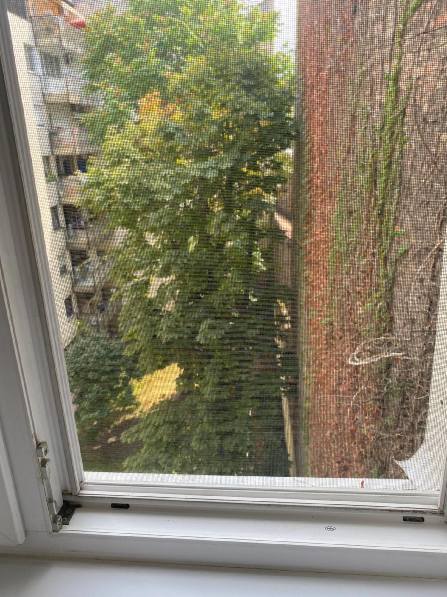 Budapest Oasis One Bedroom For Renting Exterior foto